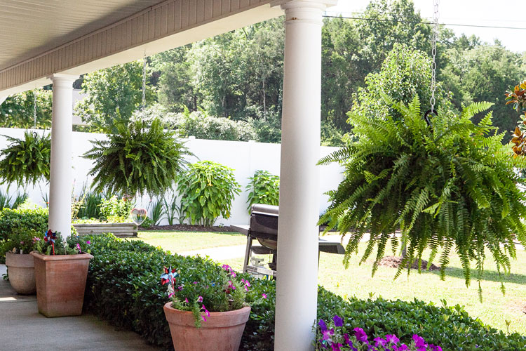 A covered porch with hanging ferns and a fenced yard