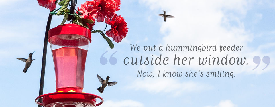 A hummingbird feeder hung with red carnations against a blue sky, three hummingbirds in flight around it. Quote: “We put a hummingbird feeder outside her window. Now, I know she’s smiling.”